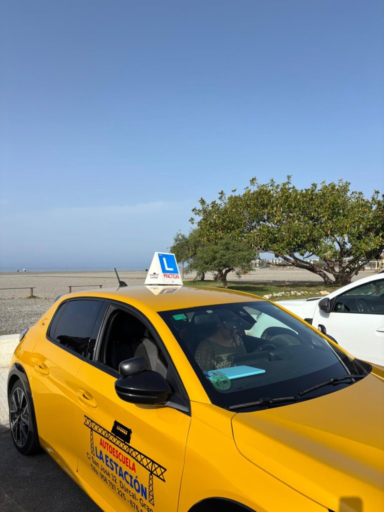 COCHES DE AUTOESCUELA LA ESTACIÓN